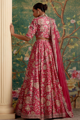 Pink starlet era lehenga set