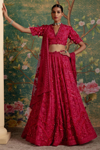 Pink dream era lehenga set