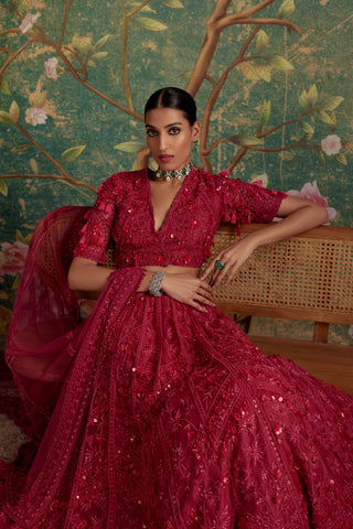 Pink dream era lehenga set