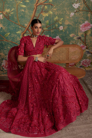 Pink dream era lehenga set