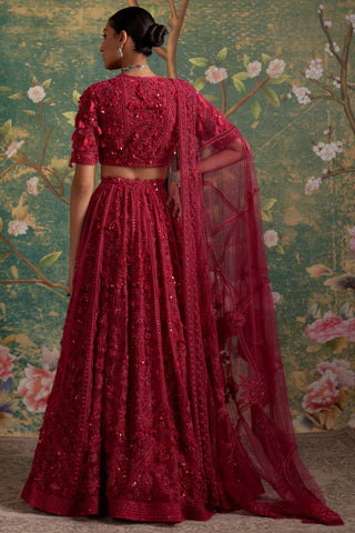 Pink dream era lehenga set