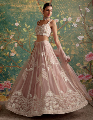 Pink grace era lehenga set