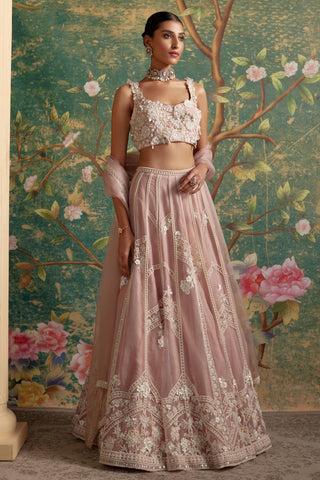 Pink grace era lehenga set