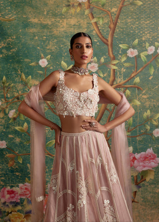 Pink grace era lehenga set