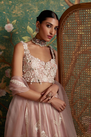 Pink grace era lehenga set