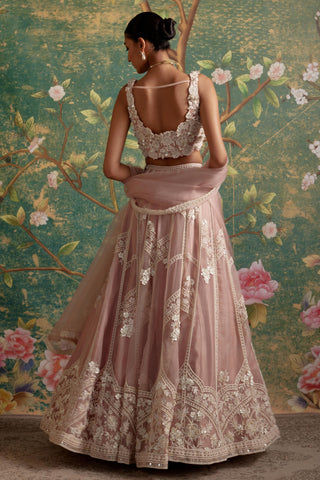 Pink grace era lehenga set