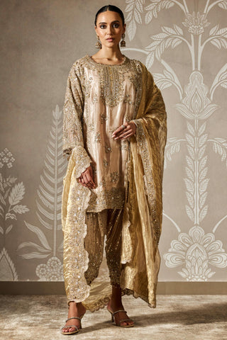 Gold roshni zar bano kurta set