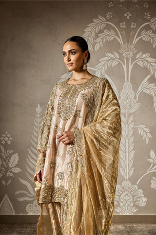 Gold roshni zar bano kurta set