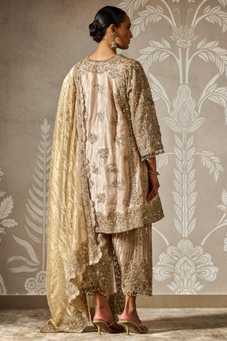 Gold roshni zar bano kurta set