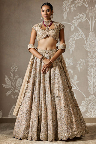 Beige ziva zar bano lehenga set
