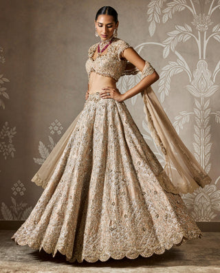 Beige ziva zar bano lehenga set