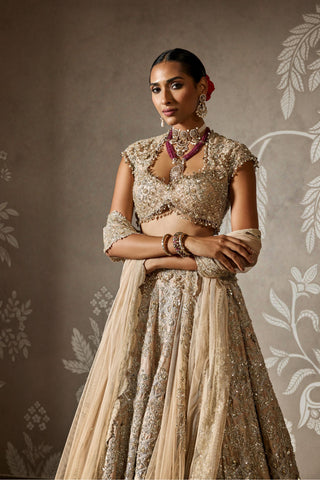 Beige ziva zar bano lehenga set