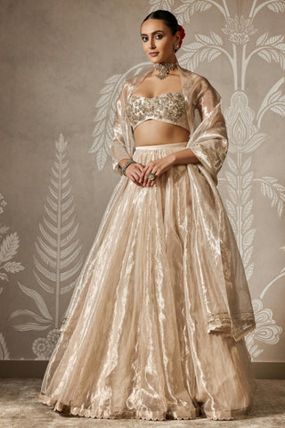Gold zarish zar bano lehenga set