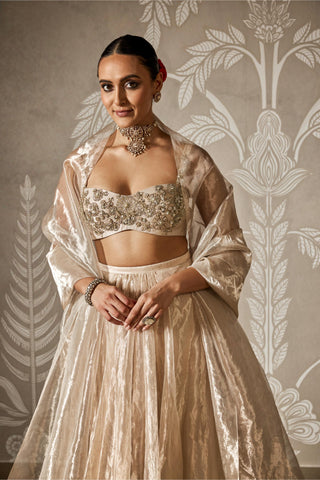 Gold zarish zar bano lehenga set