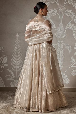 Gold zarish zar bano lehenga set