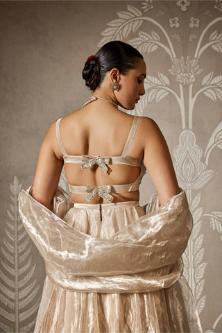 Gold zarish zar bano lehenga set