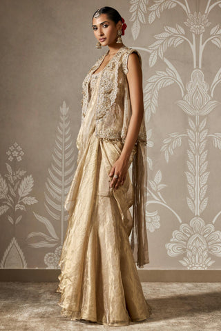 Ishya zar bano saree set