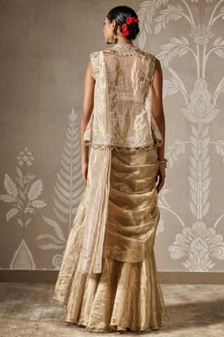 Ishya zar bano saree set