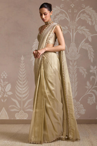 Gold folds saree set