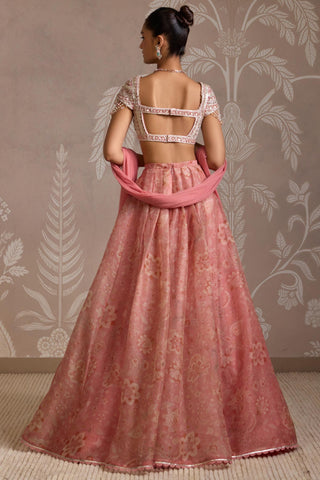Pink folds blouse with lehenga