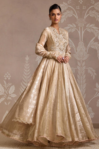 Gold folds anarkali set