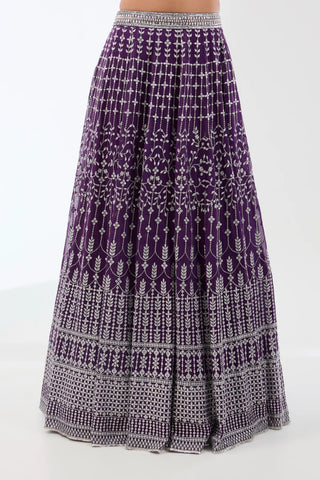Nadia purple lehenga set