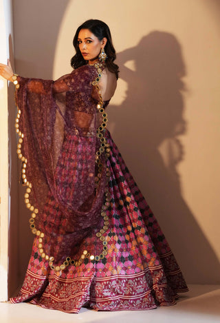 Gia maroon multicolor lehenga set