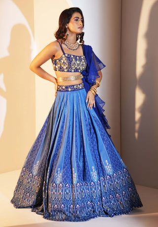 Trisha blue printed lehenga set
