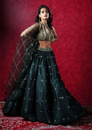 Jeeva dark green lehenga set