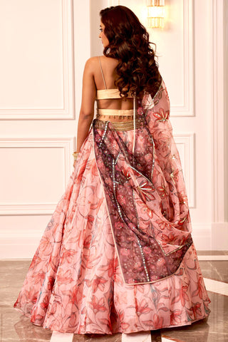 Peach kusha lehenga set