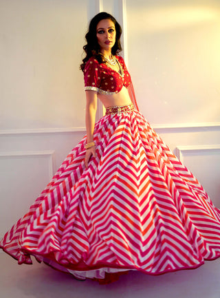 Myrah pink chevron lehenga set