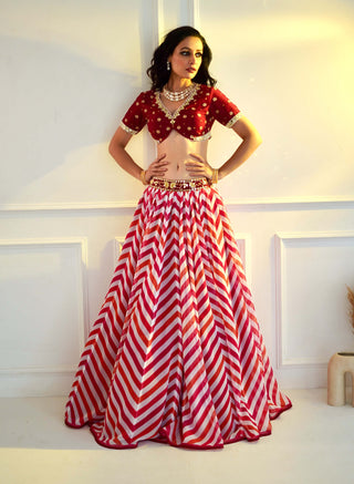 Myrah pink chevron lehenga set