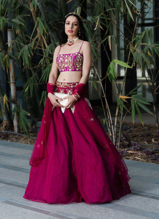 Jamina magenta lehenga set