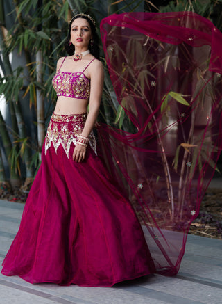 Jamina magenta lehenga set