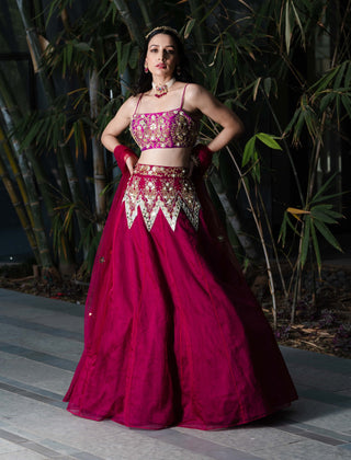 Jamina magenta lehenga set