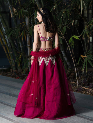 Jamina magenta lehenga set
