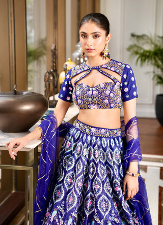 Shriya blue lehenga set