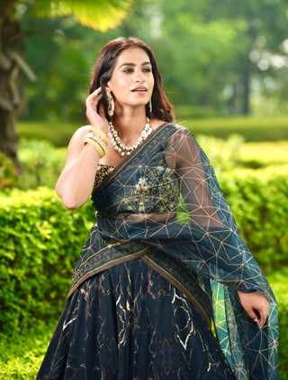 Meesha black lehenga set