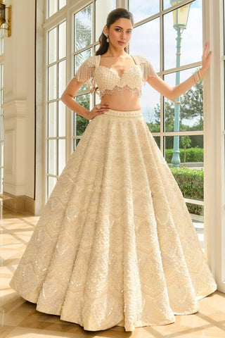 Beige blaire lehenga set