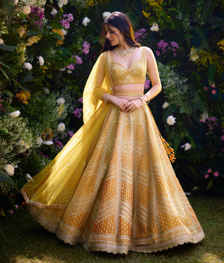 Lehenga Set for Indian Wedding – Apricot Yellow Raw Silk by Shyam Narayan Prasad