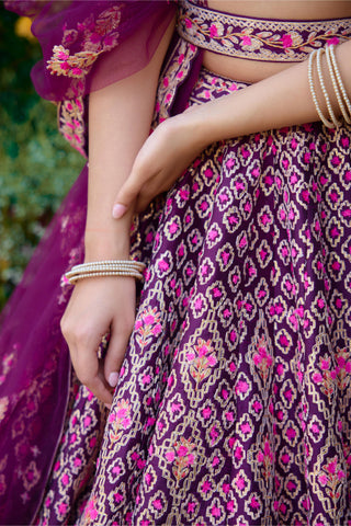 Lehenga Set for Indian Wedding – Raspberry Purple Embroidery by Shyam Narayan Prasad