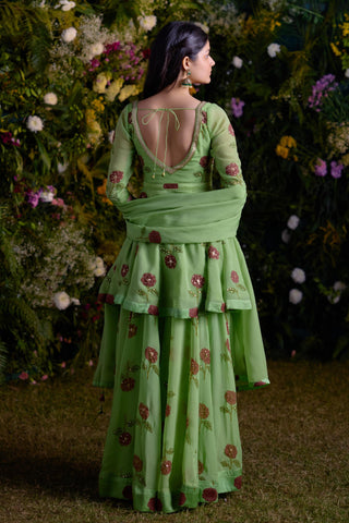 Sharara Set for Indian Wedding â€“ Macaw Green Zardozi by Shyam Narayan Prasad