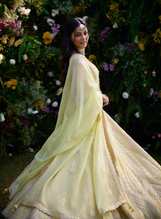 Lehenga Set for Indian Wedding – Sunshine Yellow Gota by Shyam Narayan Prasad