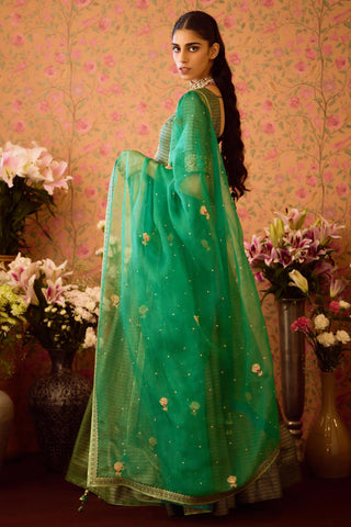 Kurta with Lehenga Set – Green Festive Wedding – Shyam Narayan Prasad