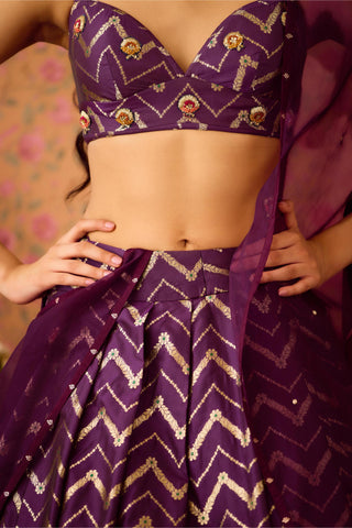 Lehenga Set – Purple Festive Wedding – Shyam Narayan Prasad