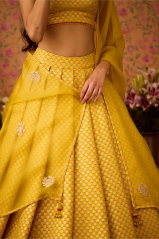 Lehenga Set – Yellow Festive Wedding – Shyam Narayan Prasad