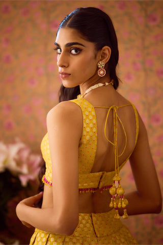 Lehenga Set – Yellow Festive Wedding – Shyam Narayan Prasad