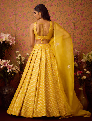 Lehenga Set – Yellow Festive Wedding – Shyam Narayan Prasad