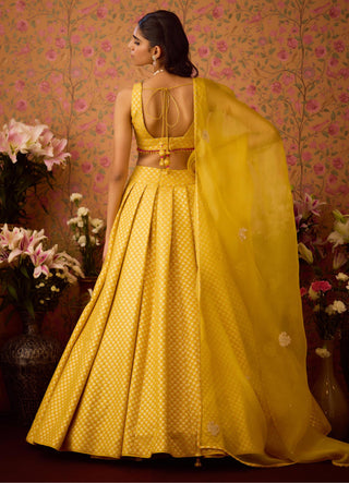 Lehenga Set – Yellow Festive Wedding – Shyam Narayan Prasad
