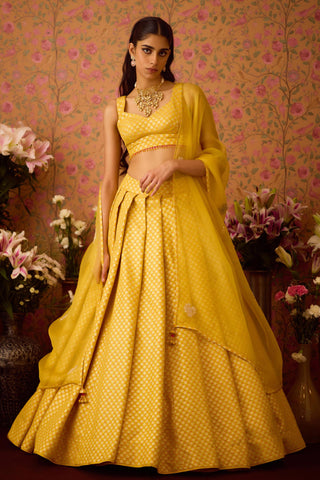 Lehenga Set – Yellow Festive Wedding – Shyam Narayan Prasad